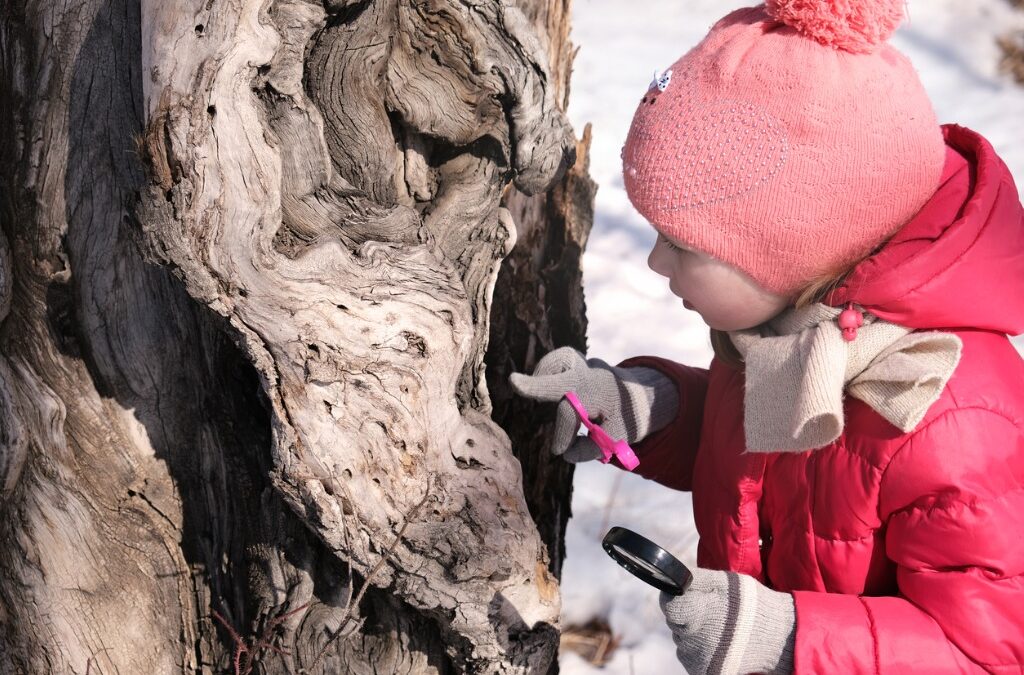 Child in a pink snow suit looking at a tree trunk